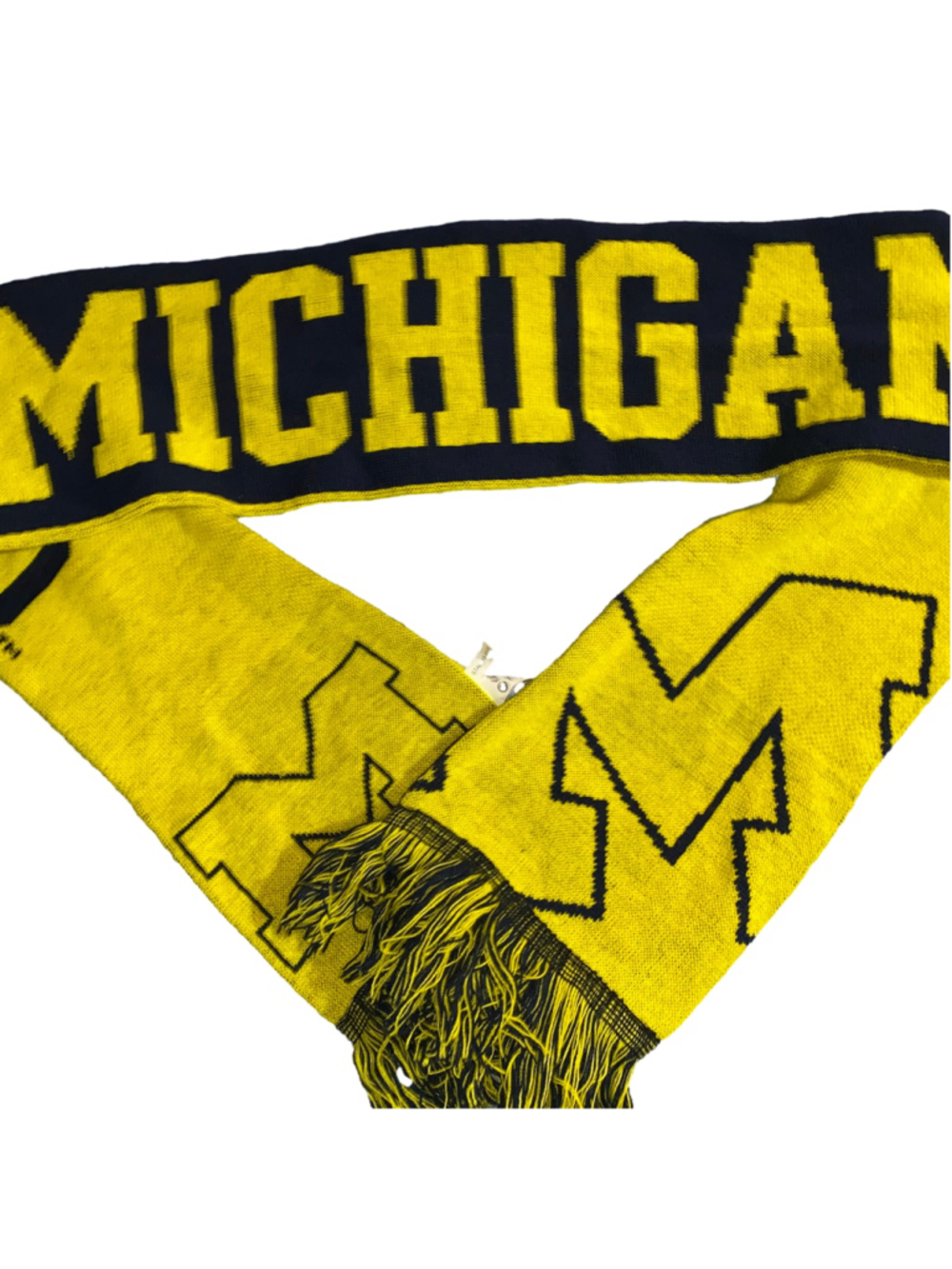 Unisex Michigan Wolverines Scarf One Size Yellow and Blue